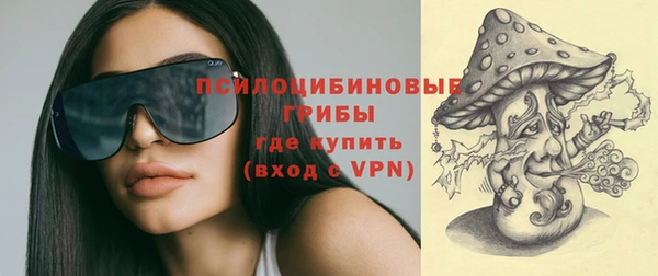 Альфа ПВП Кодинск