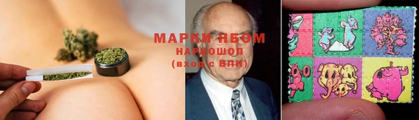 прущая мука Козловка