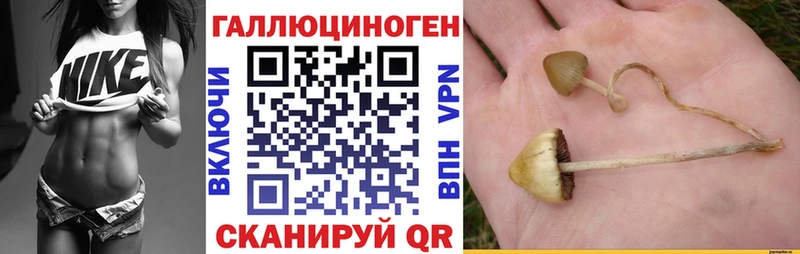 Галлюциногенные грибы прущие грибы  Купить  Керчь 